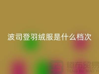 波司登羽绒服是什么档次的牌子