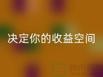 库存服装华体会体育网页版价格如何影响利润？这4个关键因素决定你的收益空间