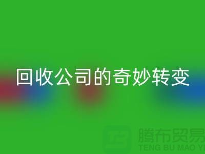 从垃圾到财富:工厂库存华体会体育网页版公司的奇妙转变