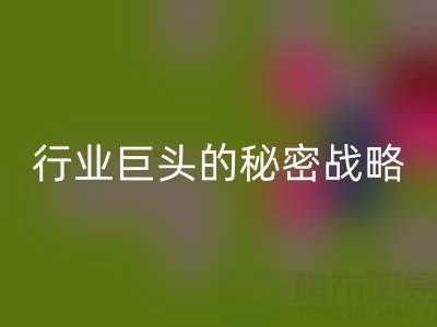 上海库存布料华体会体育网页版市场：揭秘行业巨头的秘密战略