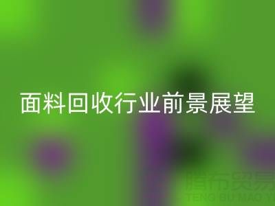 南通库存面料华体会体育网页版行业前景展望:开启新篇章