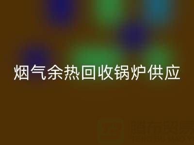 烟气余热华体会体育网页版锅炉供应商盘点:行业领先企业及技术解析
