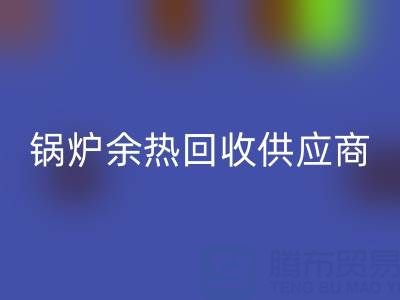 锅炉余热华体会体育网页版供应商有哪些公司——上海腾布贸易公司