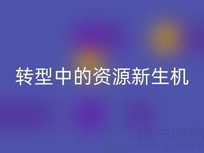 上海服装面料华体会体育网页版：绿色转型中的资源新生机