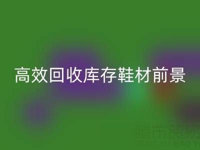 高效华体会体育网页版库存鞋材，助力鞋业绿色发展