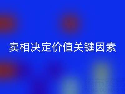 杭州真丝面料华体会体育网页版价格全解析：卖相决定价值的关键因素