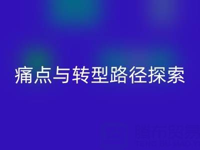 杭州库存布料华体会体育网页版市场现状解析:痛点与转型路径探索