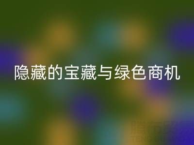 库存辅料华体会体育网页版市场：隐藏的宝藏与绿色商机