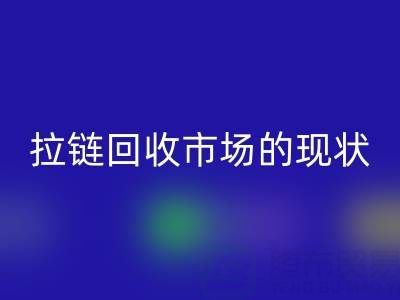 拉链华体会体育网页版市场的现状：机遇与挑战并存