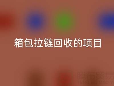  箱包拉链华体会体育网页版项目的商业运营模式与盈利探索
