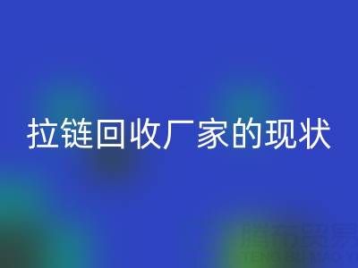 拉链华体会体育网页版厂家背后的环保大数据：现状与展望