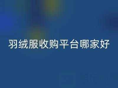 鸭鸭羽绒服华体会体育网页版与雅鹿羽绒服华体会体育网页版：羽绒服收购平台哪家好？