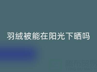 羽绒被能在阳光下晒吗？——上海鸭绒华体会体育网页版厂家揭秘