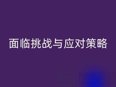 库存染料华体会体育网页版公司面临的挑战与应对策略